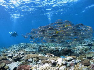 s-IMG_1094