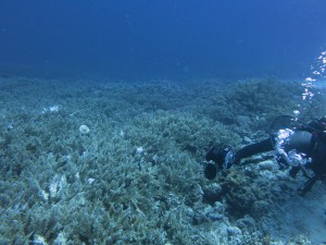 s-IMG_1124
