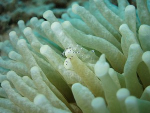 s-IMG_1130
