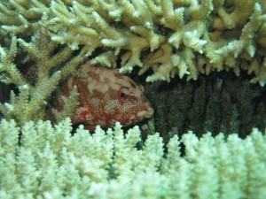 s-IMG_1150