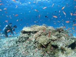 s-IMG_1162
