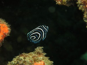 s-IMG_1716