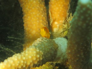 s-IMG_3887