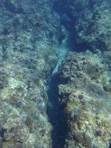 s-IMG_4974
