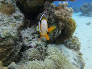 s-IMG_5027