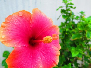 s-IMG_5389