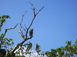 s-IMG_5474