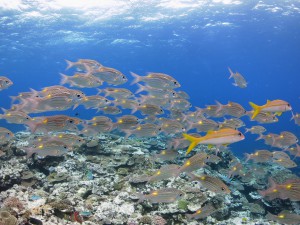 s-IMG_9420