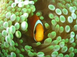 s-IMG_9942