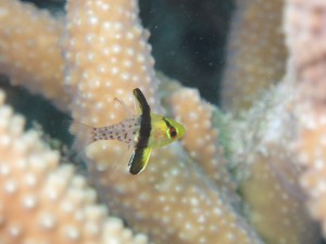 s-IMG_9986