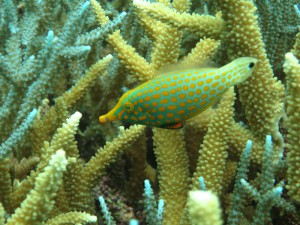 sIMG_4071