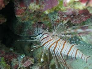 sIMG_4908
