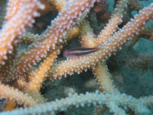 sIMG_5498