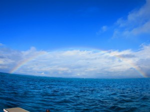 sIMG_9426