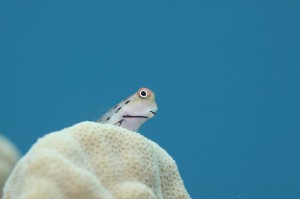 IMG_0842