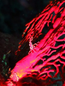 IMG_2193
