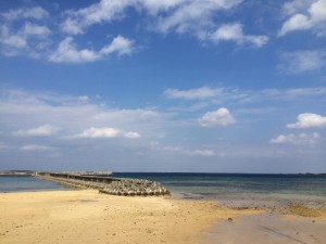 IMG_2601