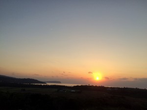 IMG_2610