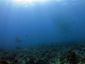 IMG_3044