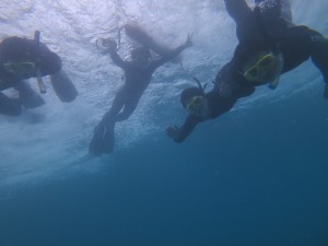 IMG_5705
