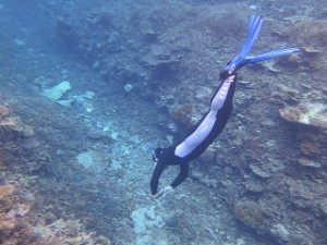 IMG_5800