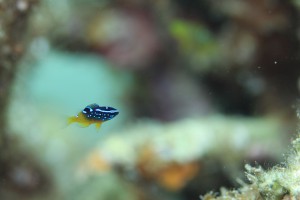 IMG_6841