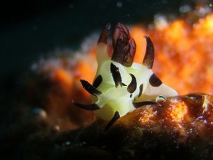 IMG_8303