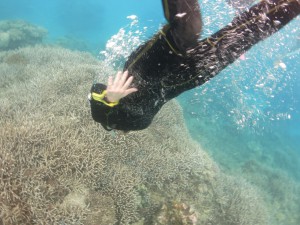 IMG_9504