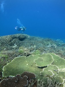 IMG_9637