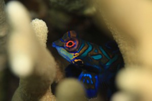 s-IMG_1238
