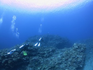 s-IMG_1320