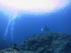 s-IMG_1332