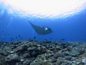 s-IMG_1347