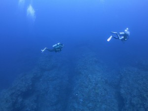 s-IMG_1353