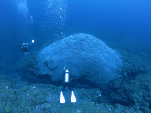 s-IMG_1358