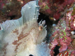 s-IMG_1375
