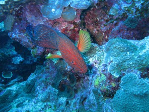s-IMG_1379