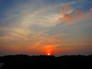 s-IMG_1390