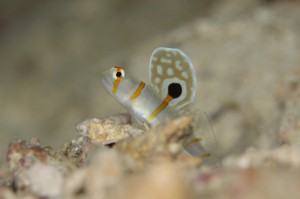 s-IMG_4263