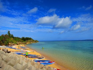 s-IMG_5655
