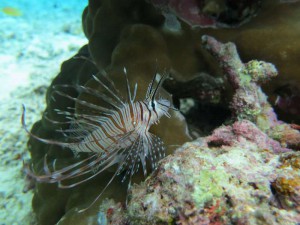 s-IMG_5843