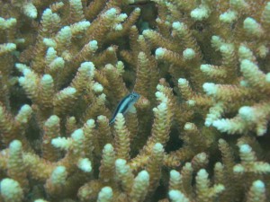 s-IMG_5850