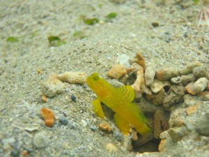 s-IMG_5866