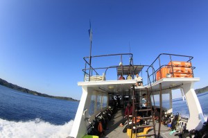 IMG_1432