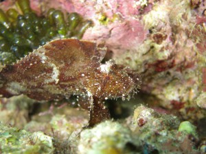 s-IMG_1394