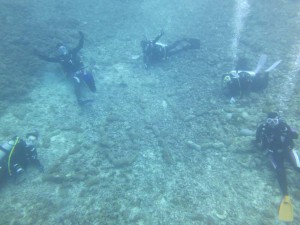 s-IMG_5915