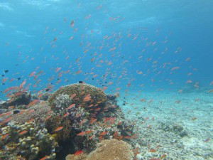 s-IMG_5917