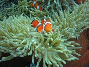 sIMG_6424