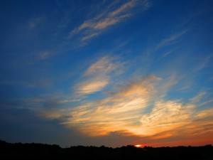 IMG_1478