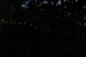 IMG_3059